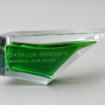 Sandblasted Engraved Crystal Award Trophy